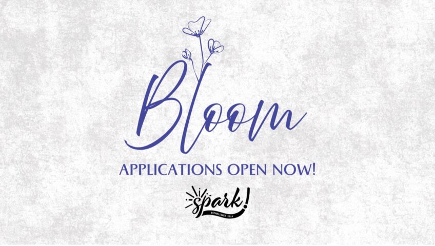 Bloom: applications open now! 