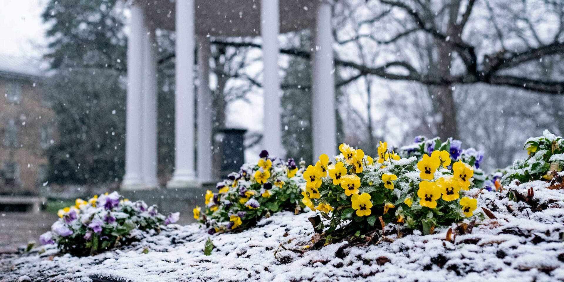 Winter Break Hours 2022 - UNC Student Affairs