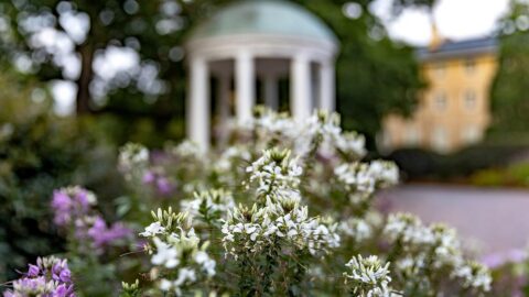 The Old Well surrounded by flowers