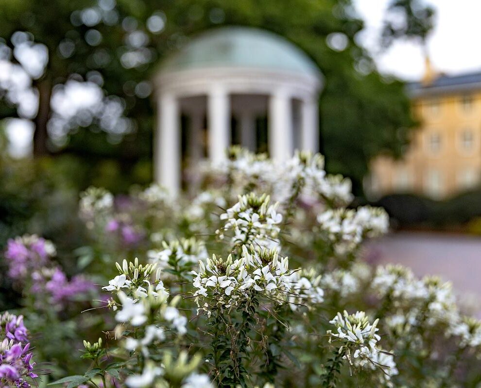 The Old Well surrounded by flowers
