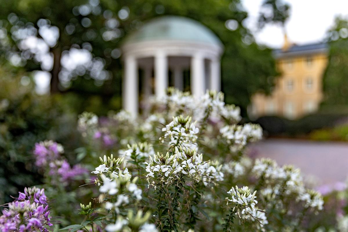 The Old Well surrounded by flowers
